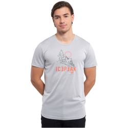 ICEPEAK Bearden T-Shirt Herren 205 - steam XL