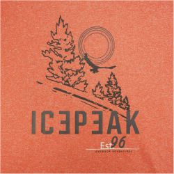 ICEPEAK Bearden T-Shirt Herren 465 - dark orange 3XL