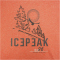 ICEPEAK Bearden T-Shirt Herren 465 - dark orange 3XL