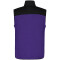 ICEPEAK Alger Outdoorweste Herren 760 - strong violet L