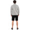 ICEPEAK Agen Midlayer Jacke Herren 810 - light grey XXL