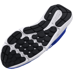 UNDER ARMOUR Charged Assert 10 Laufschuhe Herren 403 - blue 43