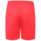 Pure2Improve Shorts Herren rot XL