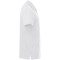 CLIQUE Classic Lincoln Poloshirt Herren