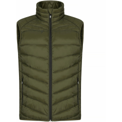 CLIQUE Idaho Steppweste Herren 75 - olive 3XL