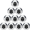 10er Ballpaket Kempa Game Changer Spectrum Synergy Primo Handball