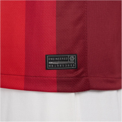 NIKE Norwegen Stadium Dri-FIT Heimtrikot 2024 Herren