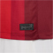 NIKE Norwegen Stadium Dri-FIT Heimtrikot 2024 Herren