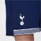 NIKE Tottenham Hotspur Dri-FIT Stadium Heimshorts Herren