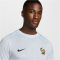 NIKE Frankreich Academy Pro Dri-FIT Auswärts-Aufwärmshirt Herren