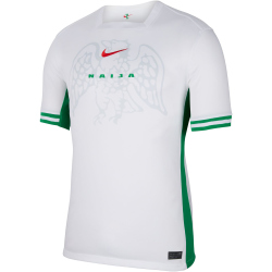NIKE Nigeria Dri-FIT Stadium Heimtrikot Herren