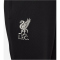 NIKE FC Liverpool Strike Dri-FIT Knit Trainingshose Kinder