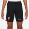 NIKE FC Liverpool Strike Dri-FIT Fußballshorts Kinder
