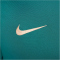 NIKE Paris Saint-Germain Strike Dri-FIT Trainingsshirt Herren