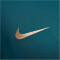 NIKE Paris Saint-Germain Strike Dri-FIT kurzarm Trainingsshirt Herren