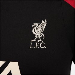 NIKE FC Liverpool Strike Dri-FIT Trainingsshirt Herren