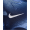 NIKE Tottenham Hotspur Dri-FIT Academy Pro kurzarm Aufwärmshirt Herren