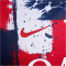 NIKE Paris Saint-Germain Dri-FIT Academy Pro kurzarm Heim-Aufwärmshirt Herren