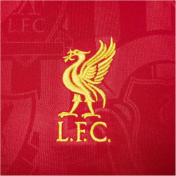 NIKE FC Liverpool Dri-FIT Academy Pro kurzarm...
