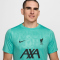 NIKE FC Liverpool Dri-FIT Academy Pro kurzarm Aufwärmshirt Herren