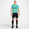 NIKE FC Liverpool Dri-FIT Academy Pro kurzarm Aufwärmshirt Herren