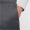 NIKE Tottenham Hotspur Strike Dri-FIT Fußballshorts Herren