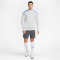 NIKE Tottenham Hotspur Strike Dri-FIT Fußballshorts Herren