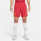 NIKE FC Liverpool Dri-FIT Stadium Heimshorts Herren