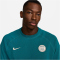 NIKE Paris Saint-Germain Travel Fußball-Trainingsshirt Herren