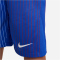 NIKE Frankreich Stadium Dri-FIT Auswärtsshorts 2024 Kinder