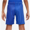 NIKE Frankreich Stadium Dri-FIT Auswärtsshorts 2024 Kinder