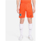 NIKE Niederlande Stadium Dri-FIT Heimshorts 2024 Herren