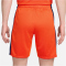 NIKE Niederlande Stadium Dri-FIT Heimshorts 2024 Herren