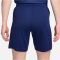 NIKE Niederlande Stadium Dri-FIT Auswärtsshorts 2024 Herren