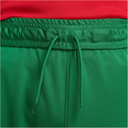 NIKE Portugal Stadium Dri-FIT Heimshorts 2024 Herren