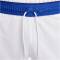 NIKE Frankreich Stadium Dri-FIT Heimshorts 2024 Herren