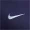 NIKE Frankreich Strike Dri-FIT Trainingsshirt Herren