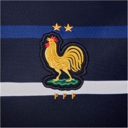 NIKE Frankreich Academy Pro Dri-FIT...