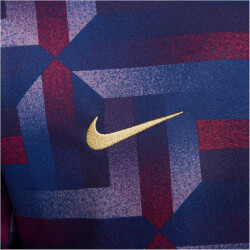 NIKE England Academy Pro Dri-FIT Aufwärmshirt Herren