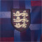 NIKE England Academy Pro Dri-FIT Aufwärmshirt Herren