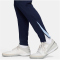 NIKE Frankreich Strike Dri-FIT Knit Trainingshose Herren