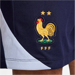 NIKE Frankreich Strike Dri-FIT Fu&szlig;ballshorts Herren