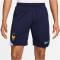 NIKE Frankreich Strike Dri-FIT Fußballshorts Herren