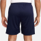 NIKE Frankreich Strike Dri-FIT Fußballshorts Herren