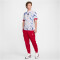 NIKE Norwegen Stadium Dri-FIT Auswärtstrikot 2024 Herren 100 - white/university red/old royal M