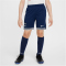 NIKE Tottenham Hotspur Dri-FIT Stadium Heimshorts Kinder 424 - binary blue/white XS (122-128 cm)