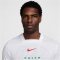 NIKE Nigeria Dri-FIT Stadium Heimtrikot Herren 100 - white/lucky green/challenge red S