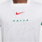 NIKE Nigeria Dri-FIT Stadium Heimtrikot Herren 100 - white/lucky green/challenge red S