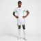 NIKE Nigeria Dri-FIT Stadium Heimtrikot Herren 100 - white/lucky green/challenge red S