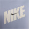 NIKE Dri-FIT Fitness T-Shirt Herren 493 - ashen slate S